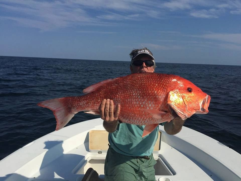 red-snapper-2020