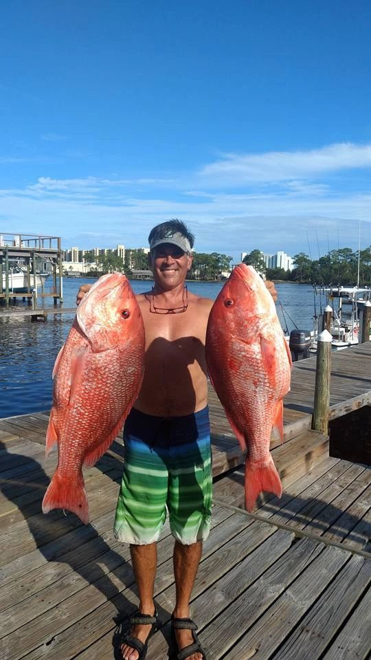 two-giant-red-snappers